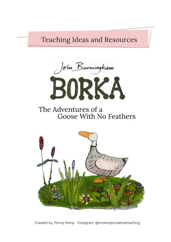 Borka Teachers notes for download