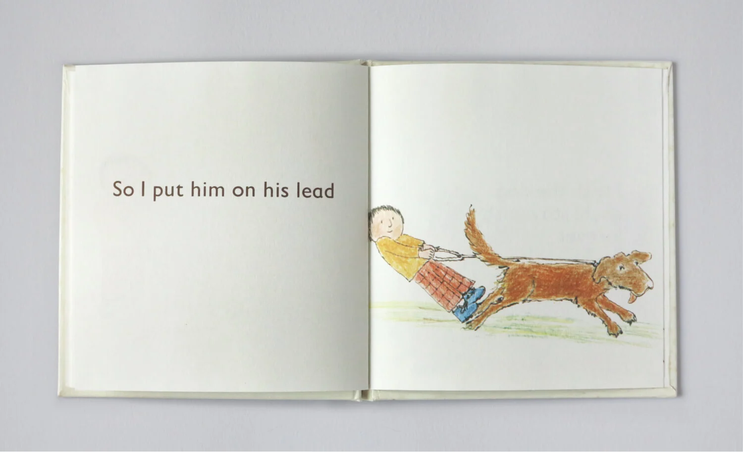 Small book dog10