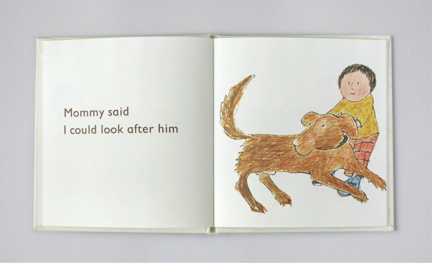 Small book dog4