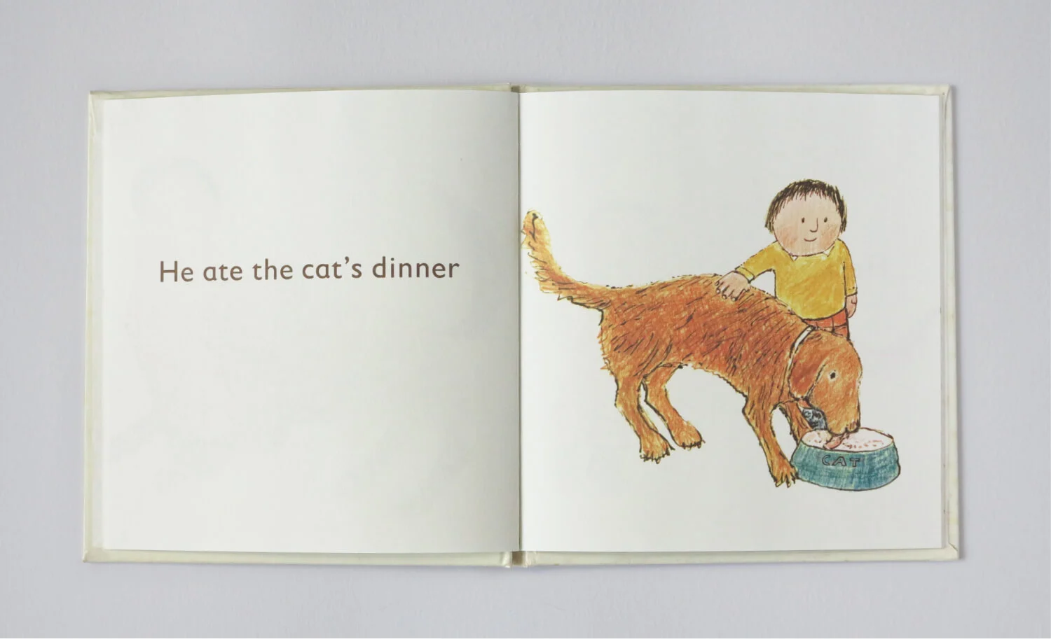 Small book dog5
