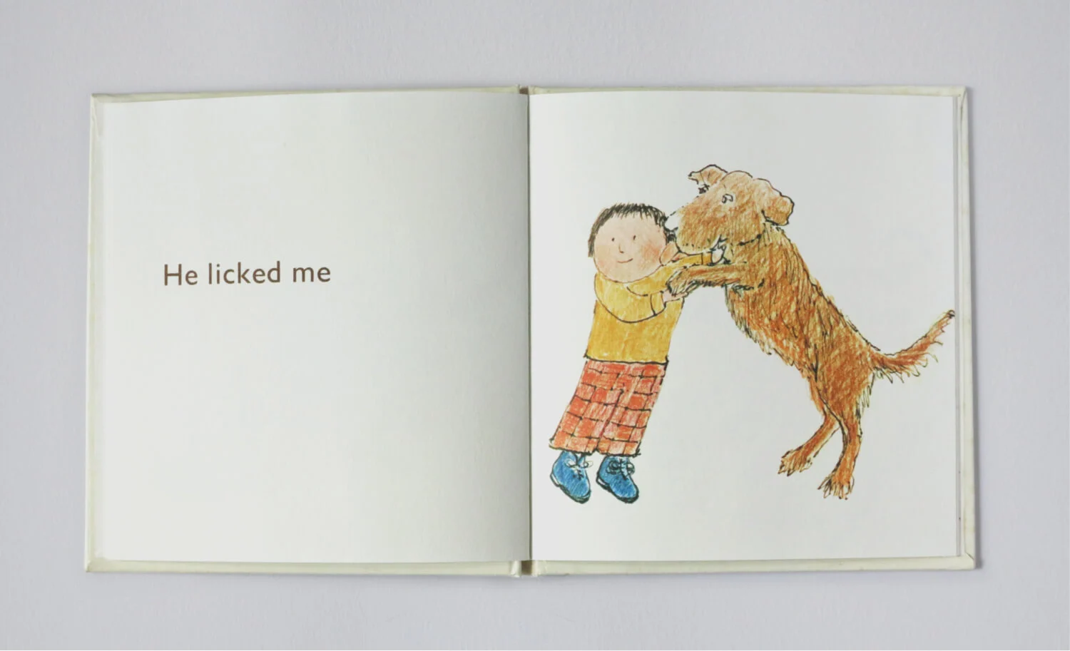 Small book dog6