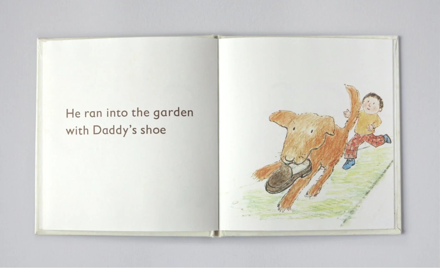 Small book dog7