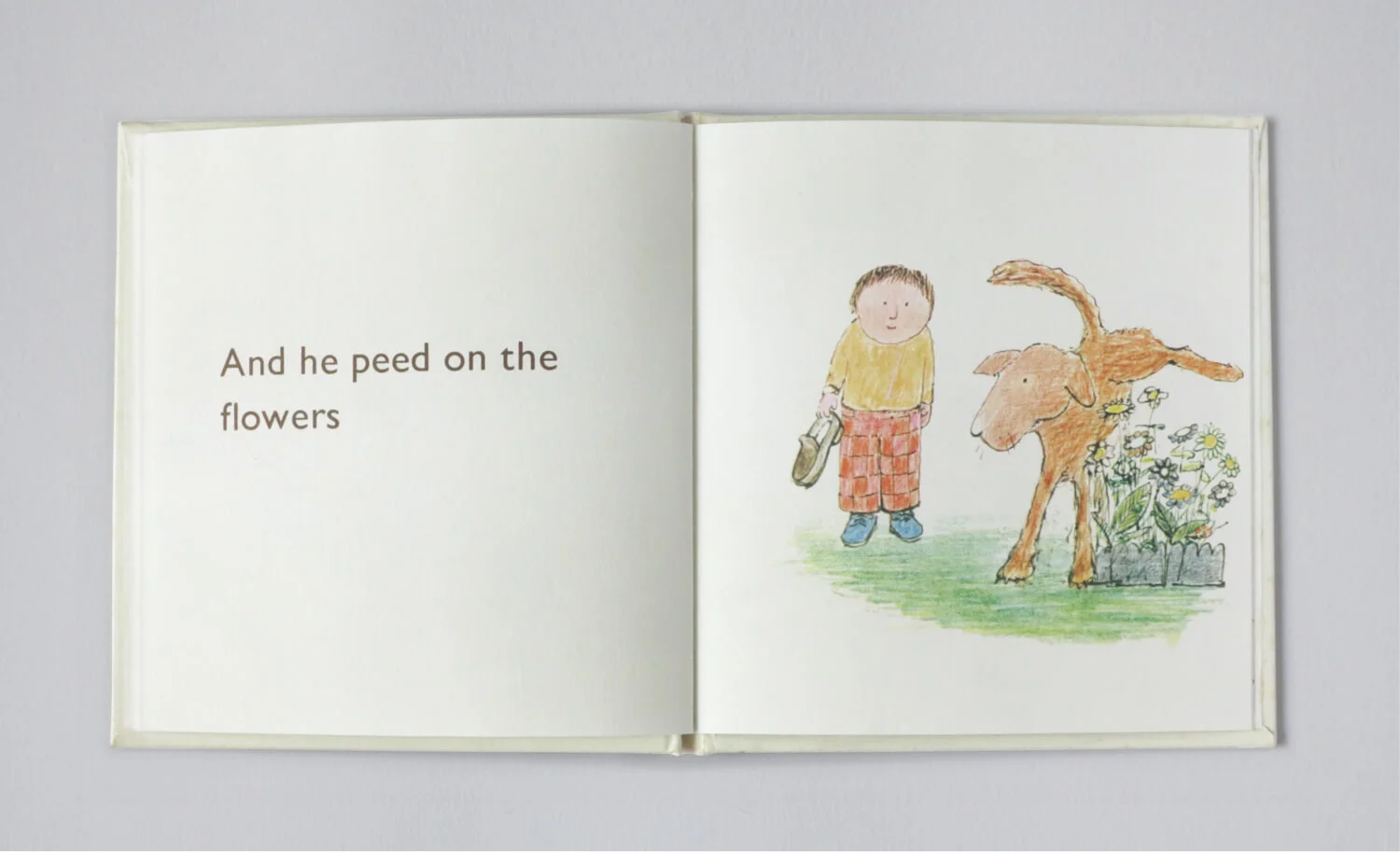 Small book dog8