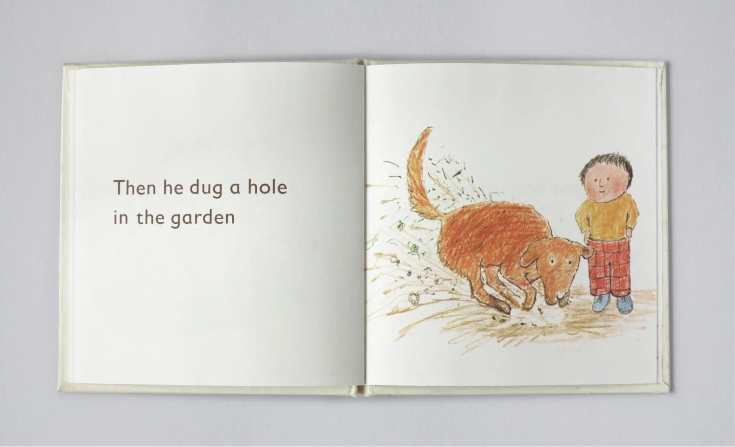 Small book dog9
